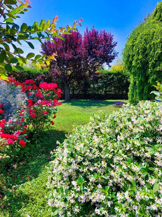 Il Casale Bed and Breakfast San Giovanni In Marignano Exteriör bild